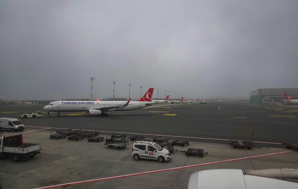 Quelles croisières offrent des excursions pour découvrir les mangroves en Floride?