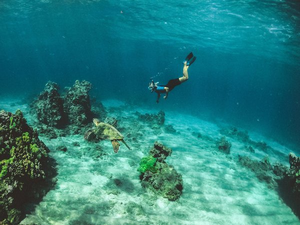 Quels sont les meilleurs spots pour faire du snorkeling avec des raies géantes à la Réunion ?
