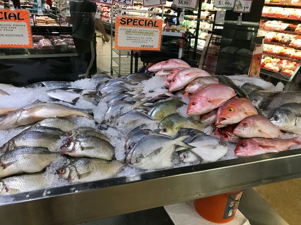 Comment découvrir les marchés aux poissons les plus authentiques du Japon ?